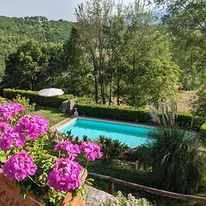 Casentino - Fattoria Ventrina , Martina Croazia